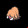 Pokémon #221