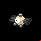 Pokémon #81