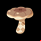 Objet champi-toumou