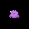 Pokémon #132 5G