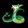 Pokémon #497 5G