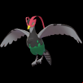 Pokémon #521 8G