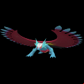 Pokémon #1005 9G