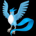 Pokémon #144 defaut