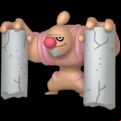 Pokémon #534 defaut