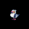 Pokémon #519 5G