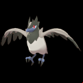 Pokémon #822 8G