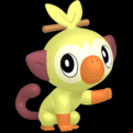 Pokémon #810 defaut